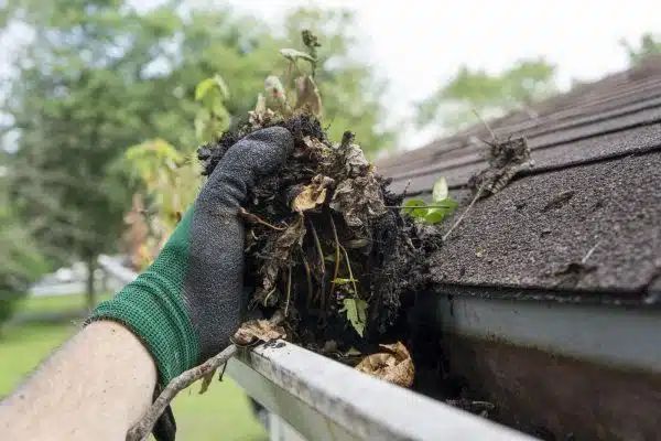 gutter cleaning company near me in richmond va 013